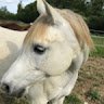 Avatar de ROBERT 47 - Lot-et-garonne - Agen